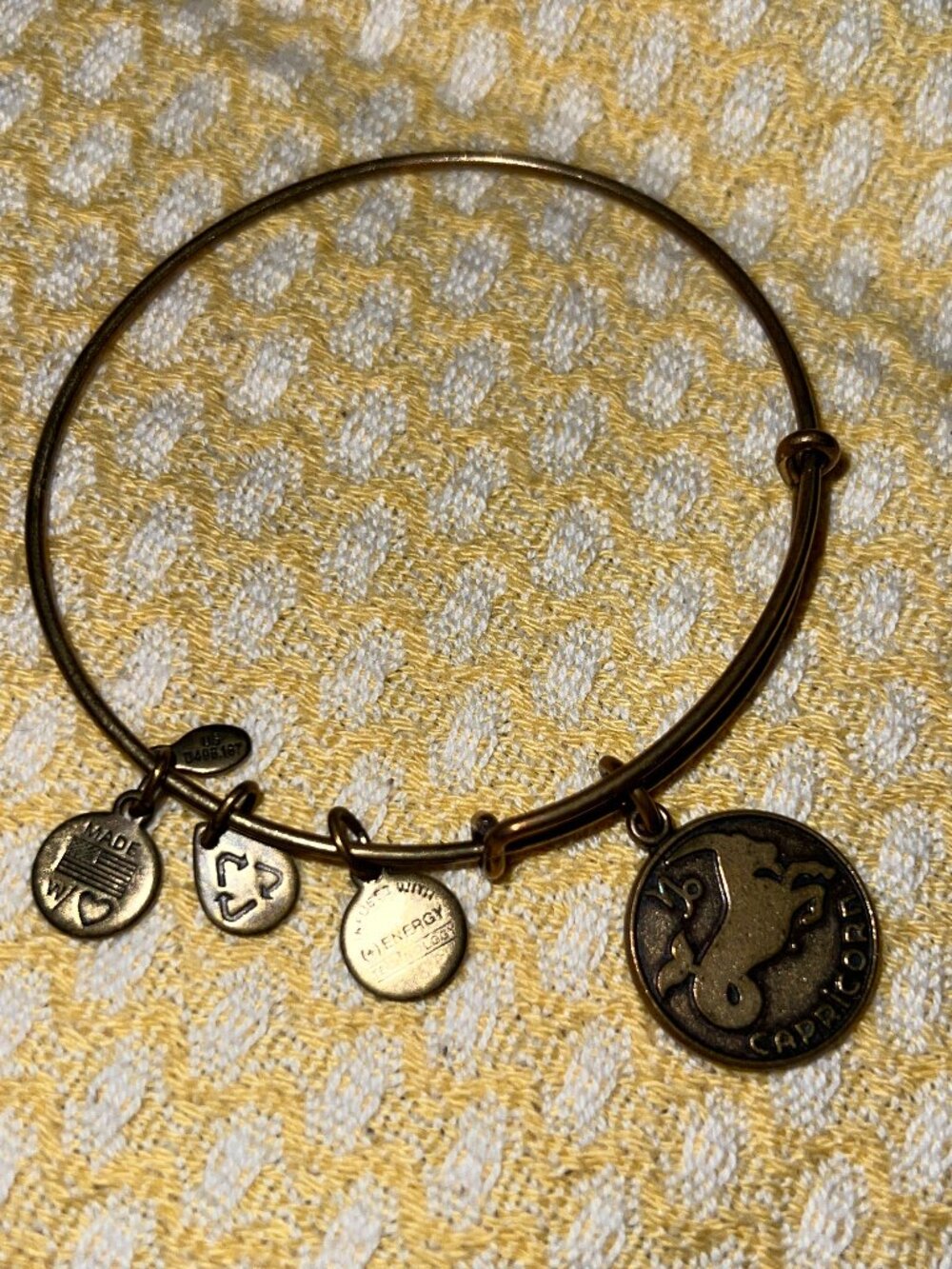 Alex and Ani Capricorn Gold Expandable Charm Bangle